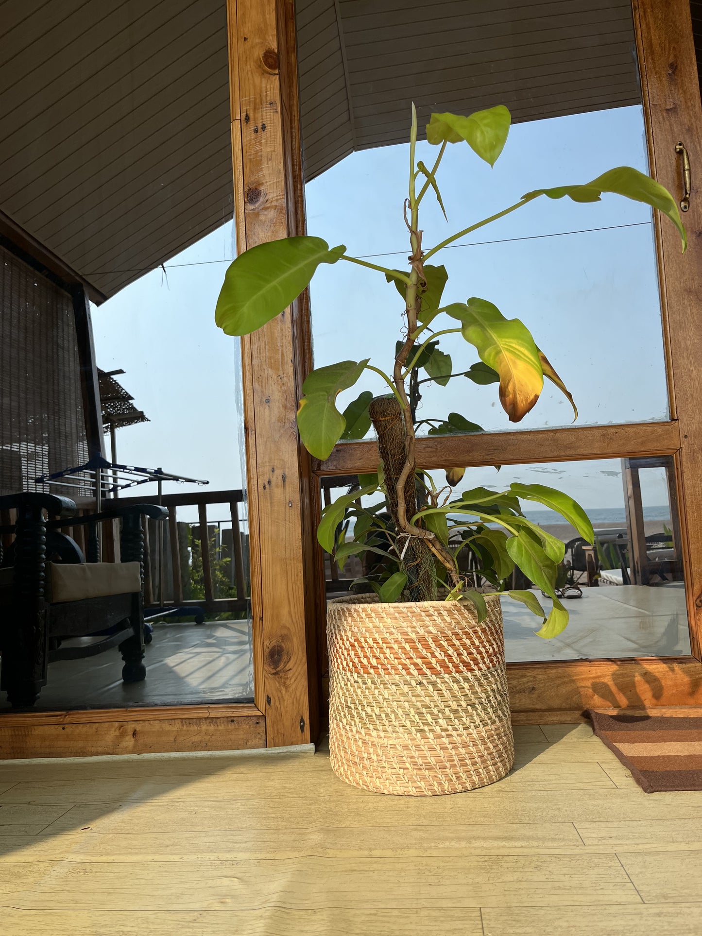 Sabai Natural Basket Planter